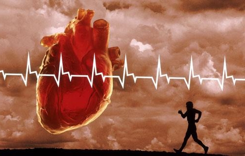 Бег и тренировка сердца