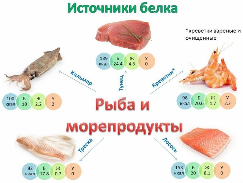 Рыба и морепродукты как источник белка