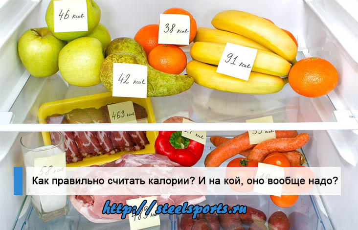 http://steelsports.ru/wp-content/uploads/2015/11/Kak-pravil-no-schitat-kalorii.jpg