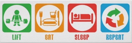 eat lift sleep repeat
