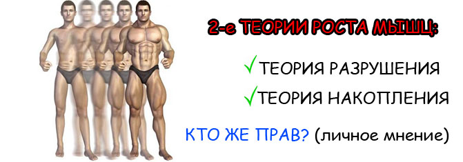 Теории роста мышц 789